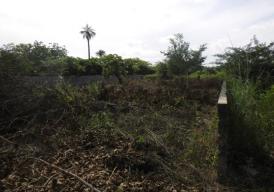 Empty Plot of Land for Sale