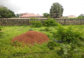 Plot for sale Located at Salagi