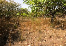 Exceptional 500m² plot of land in Sanyang