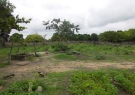 EMPTY PLOT AT LABAKOREH