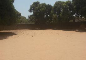 Empty corner plot in Lamin