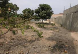 Empty plot of land for sale located at Sukuta.