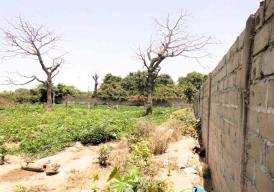 Empty plot of land is located in Batokunko