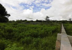 Rare to find, nice empty plot of land in Sanyang