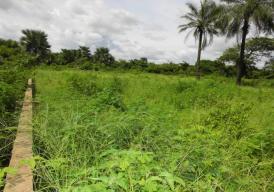 Empty plot of land at Sanyang Village