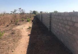 Sanyang Brand New Plots