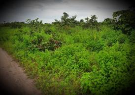 Plots of Land for SALE in Taibatou