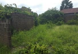 Empty plot of land for sale located at Bijilo