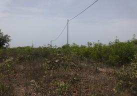 Empty plot of land in Tujereng