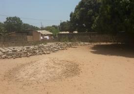 Empty corner plot in Lamin