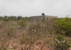 Empty plot of land in Tujereng